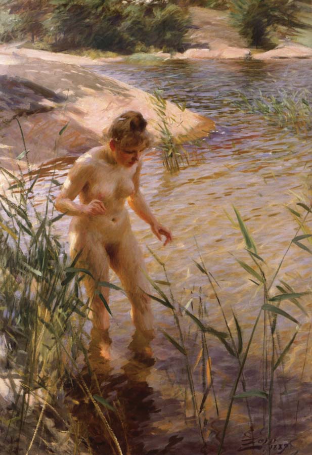 Anders Zorn Reflex